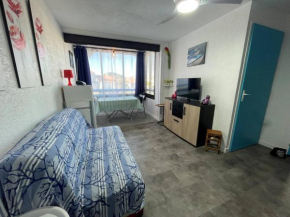 Charmant 2P, 2 couchages, parking, loggia, proche plage et centre, animaux acceptés - FR-1-225D-171